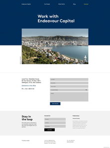 Endeavour 领先的国际商业咨询和私募股权投资公司酷站 值得信赖的咨询,经过验证的监管